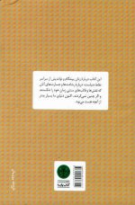 زنان بدون مرز جولیا پیرپونت ترجمه عباس گودرزی انتشارات کتاب پارسه